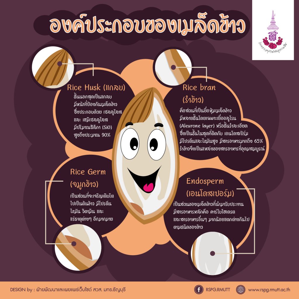 ภาพประกอบเว็บไซต์