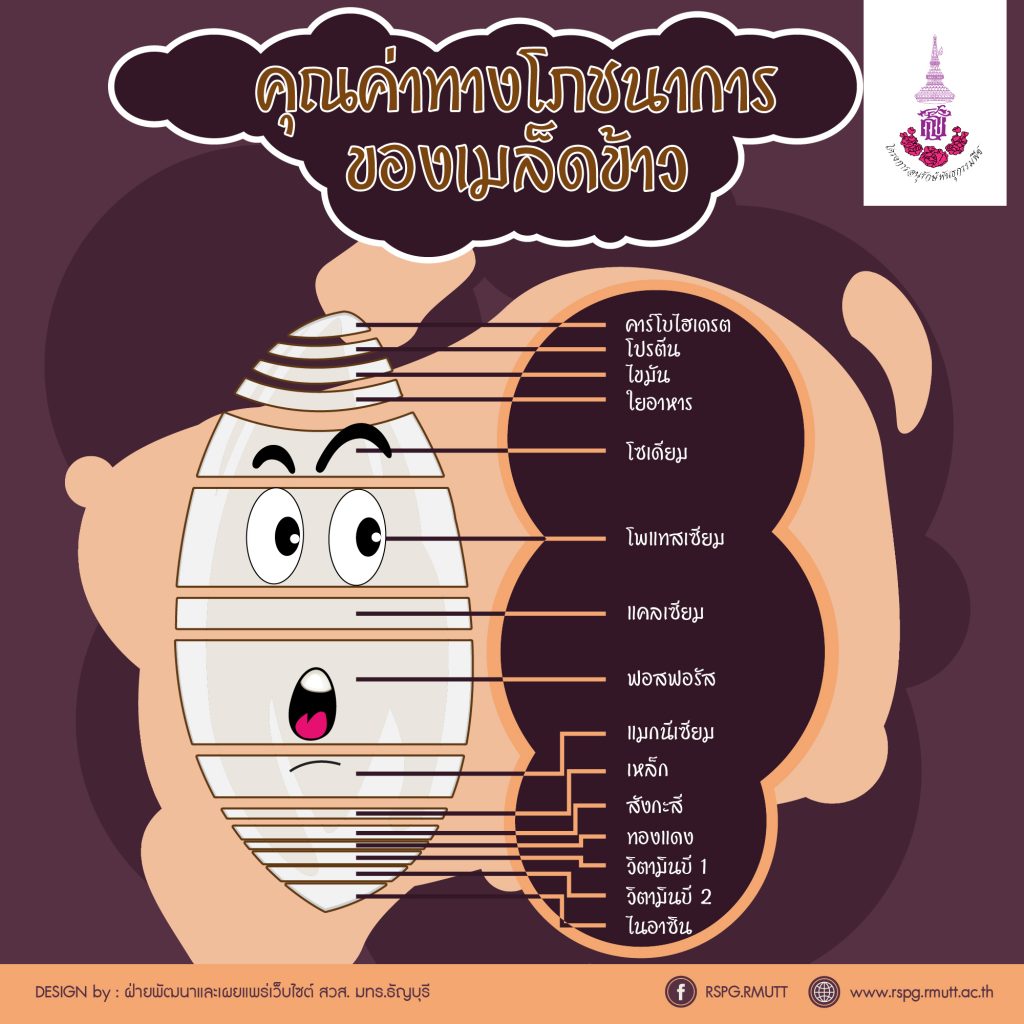 ภาพประกอบเว็บไซต์