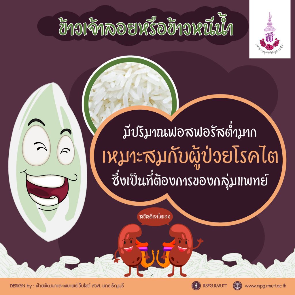 ภาพประกอบเว็บไซต์