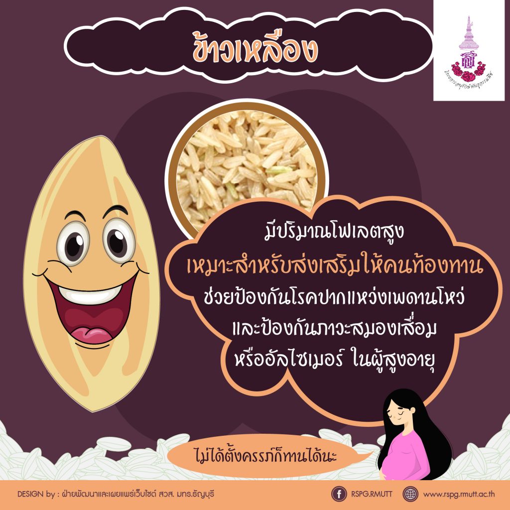 ภาพประกอบเว็บไซต์