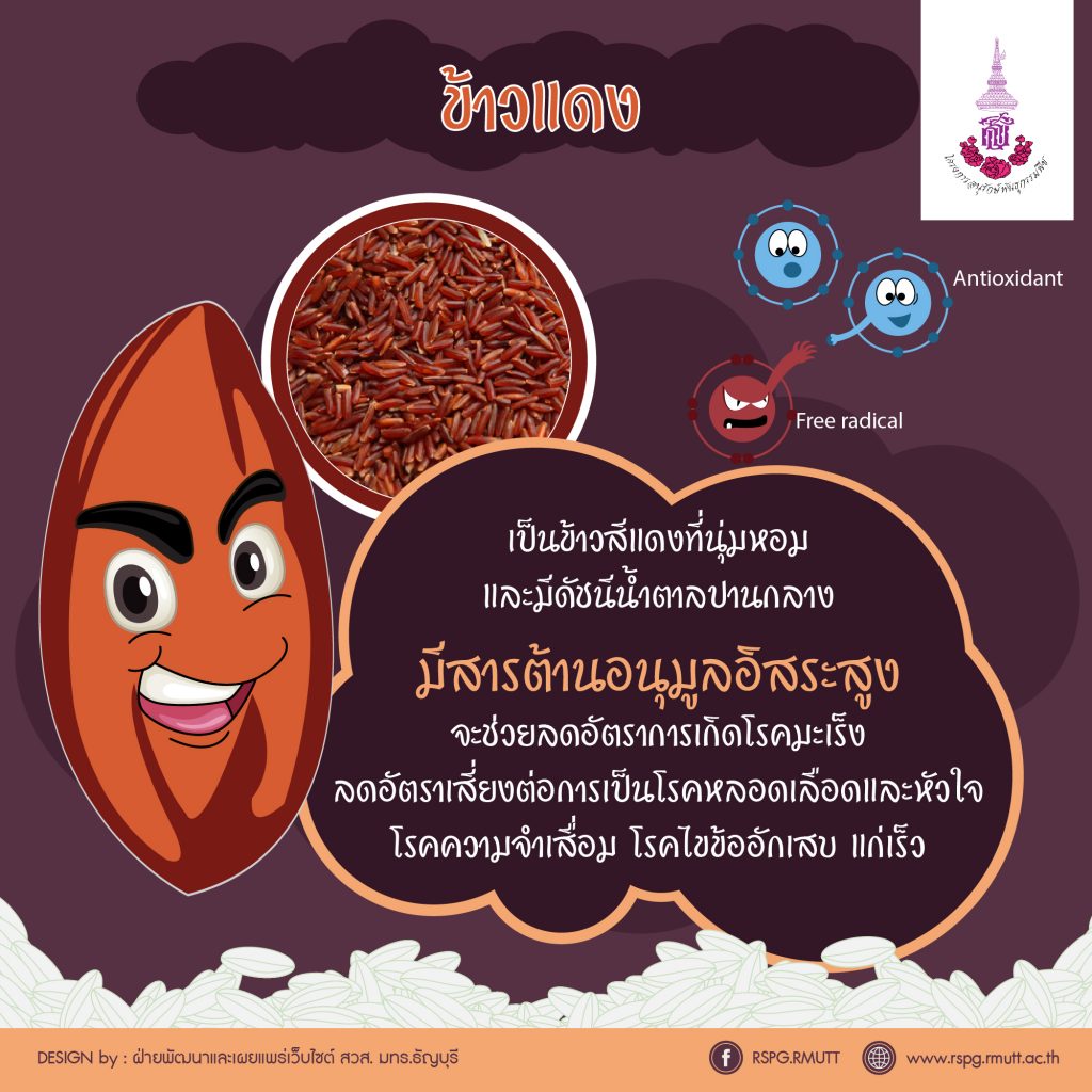 ภาพประกอบเว็บไซต์