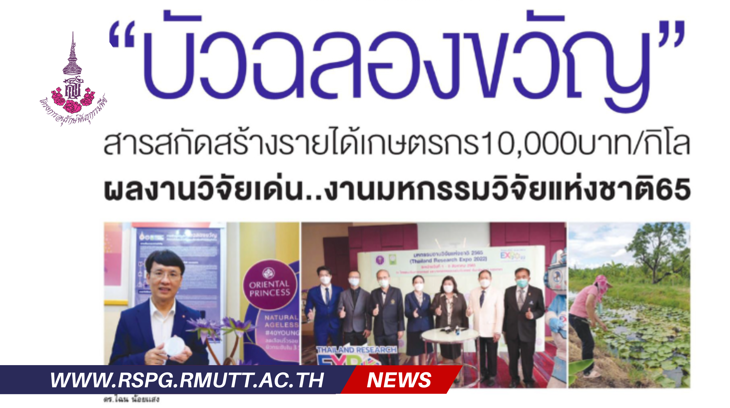 “บัวฉลองขวัญ” สารสกัดสร้างรายได้เกษตรกร10,000บาท/กิโล